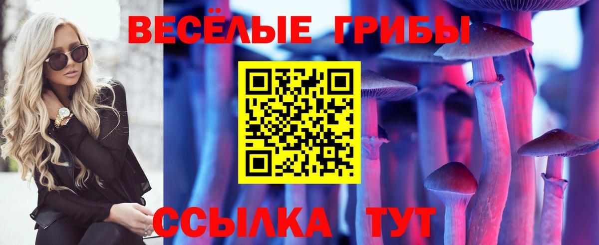 Тольятти  Псилоцибиновые грибы прущие грибы  где купить наркотик  Вход с VPN 